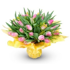 Justyne - pink tulips (Small)